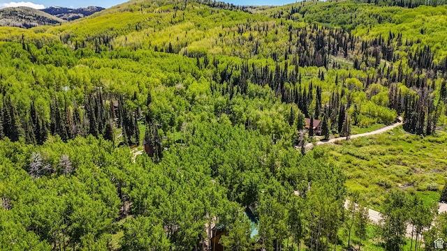 4417 Buck Way Unit 2029, Heber City, UT 84032 - view of mountain backdrop featuring a heavily wooded area
