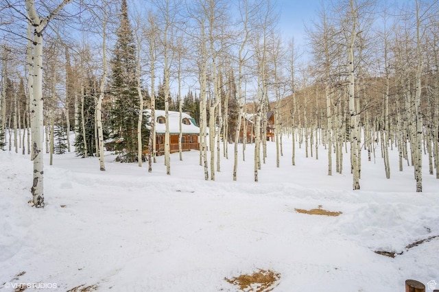 4417 Buck Way Unit 2029, Heber City, UT 84032 - view of yard