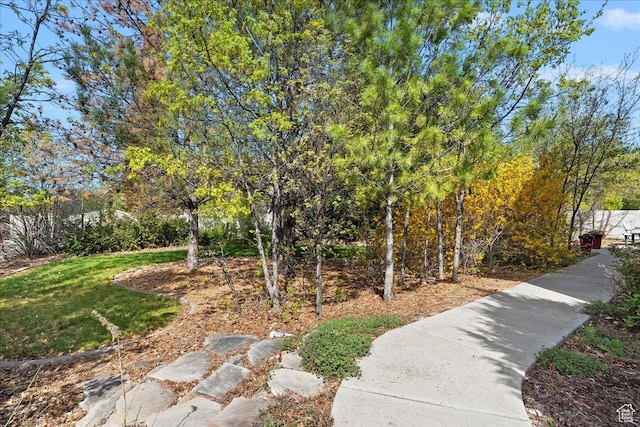 3072 S 1065 W, Syracuse, UT 84075 - view of yard