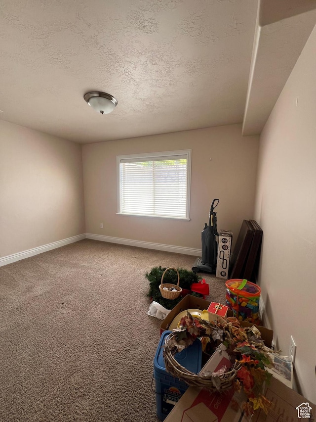 1003 E 200 S, American Fork, UT 84003 - misc room with a textured ceiling, baseboards, and carpet