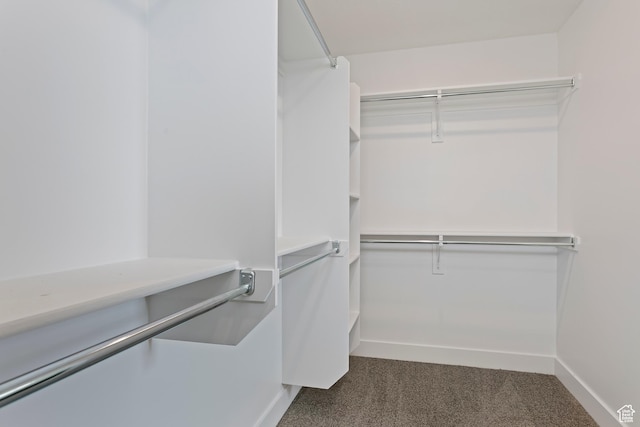 3238 S 4950 W, West Haven, UT 84401 - walk in closet with dark carpet