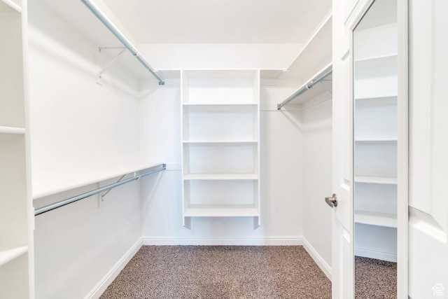 487 W 350 S Unit D, Springville, UT 84663 - walk in closet featuring carpet flooring