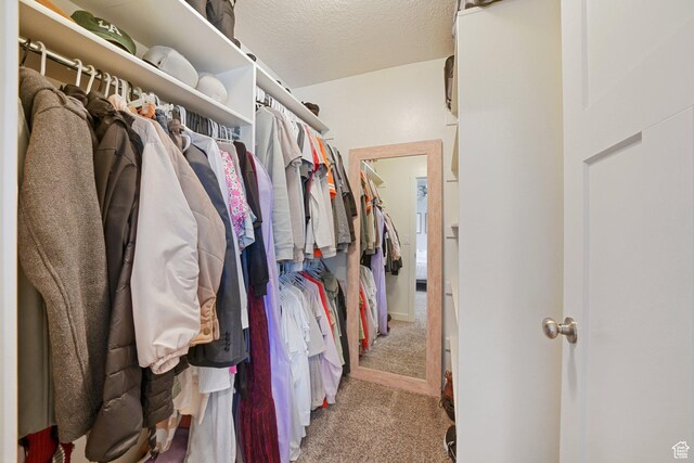 825 S 1710 E, Spanish Fork, UT 84660 - spacious closet featuring carpet floors