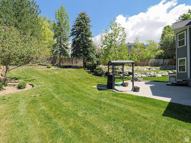 view of yard featuring a fenced backyard and a patio area