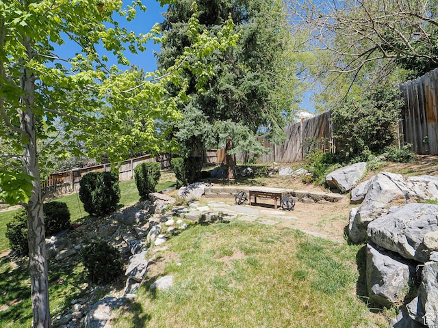 view of yard with a fenced backyard