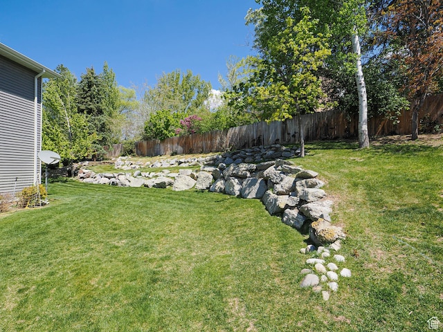 view of yard with a fenced backyard