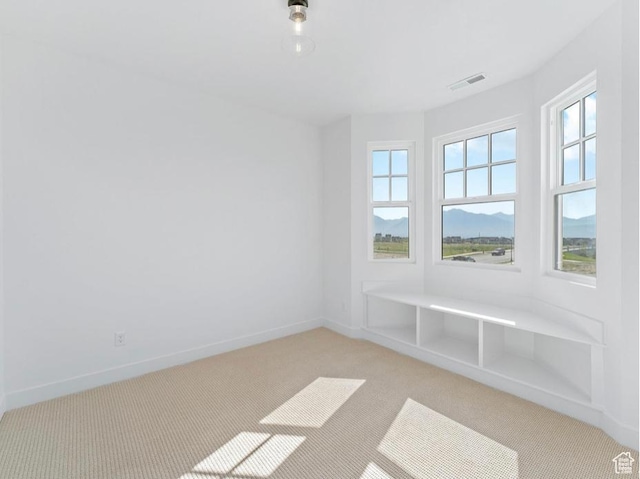 11436 S Watercourse Rd Unit 110, South Jordan, UT 84009 - empty room featuring baseboards, light carpet, and visible vents