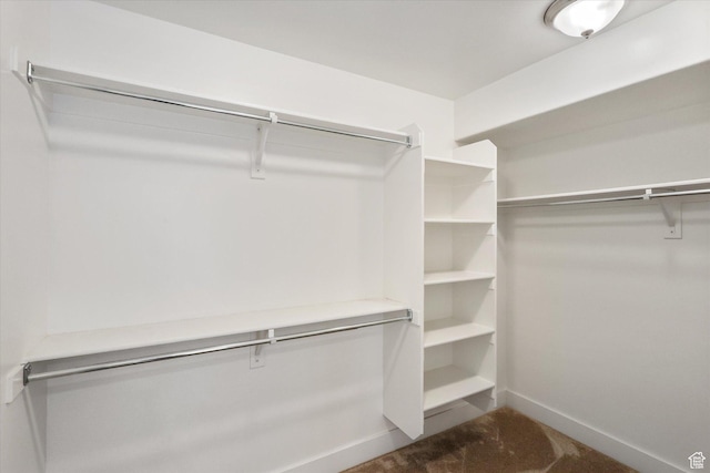 3171 N Crest Dr, Lehi, UT 84043 - view of spacious closet