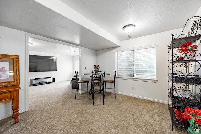 10944 S Surrey Meadow Cv, South Jordan, UT 84095 - dining room featuring carpet flooring, a textured ceiling, healthy amount of natural light, and baseboards