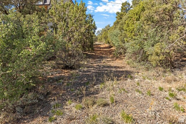 375 Hillcrest, Central, UT 84722 - view of nature