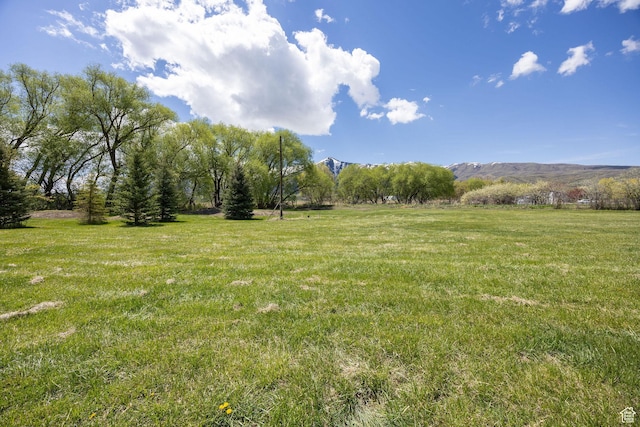 1155 N 100 W, Mendon, UT 84325