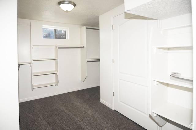 536 S Brinker E, Ogden, UT 84404 - spacious closet with dark carpet