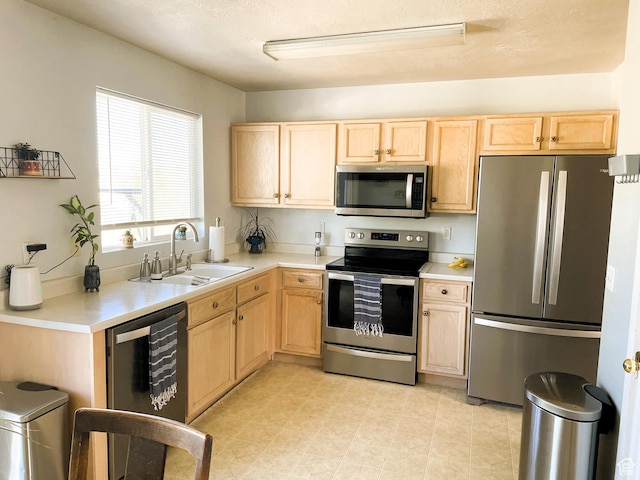 1655 N Cerroni Dr, Tooele, UT 84074 - photo 15