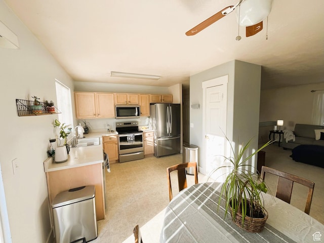 1655 N Cerroni Dr, Tooele, UT 84074 - photo 16