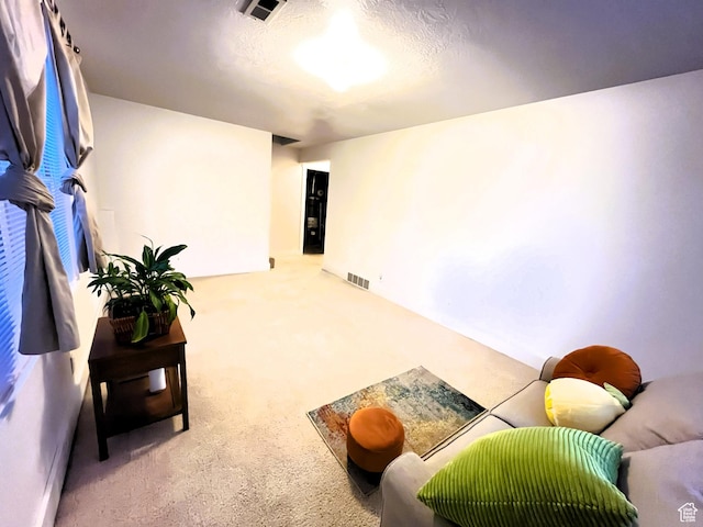1655 N Cerroni Dr, Tooele, UT 84074 - photo 28