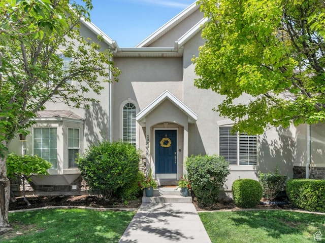 view of exterior entry with a lawn and stucco siding
