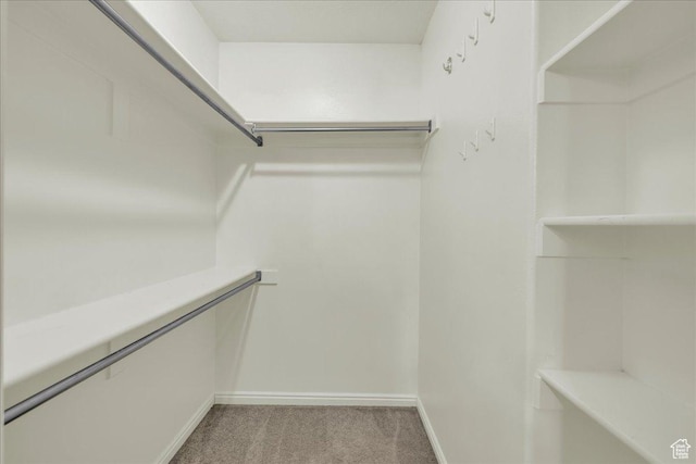 3909 N Davencourt Loop, Lehi, UT 84043 - spacious closet with carpet