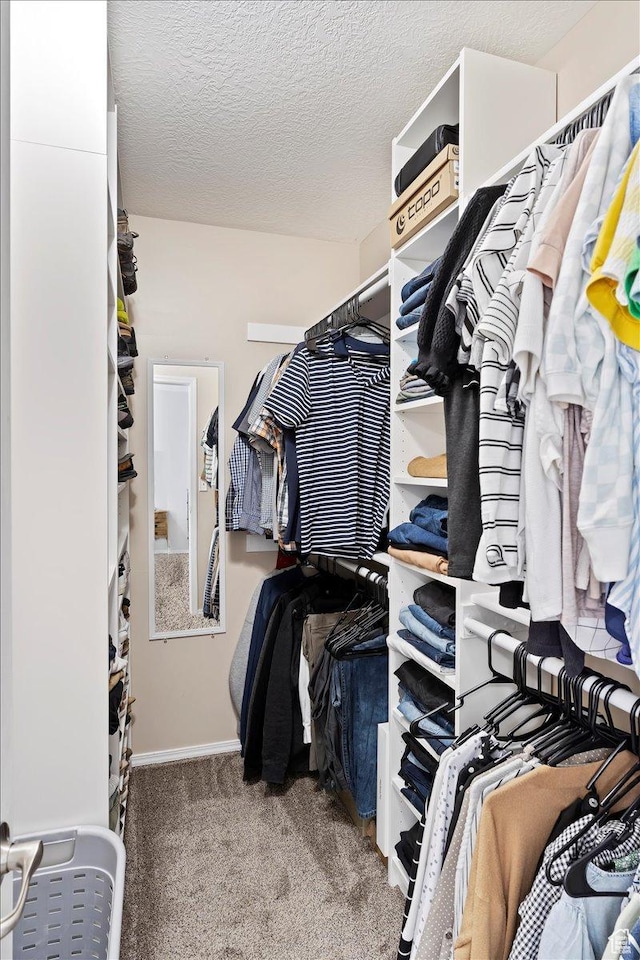 1090 N 3450 W, Layton, UT 84041 - spacious closet with carpet flooring