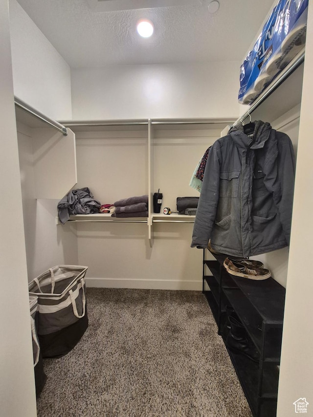 spacious closet with carpet flooring