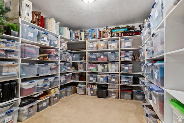 864 S Wellington Dr W, Kaysville, UT 84037 - view of storage
