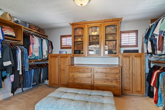 864 S Wellington Dr W, Kaysville, UT 84037 - walk in closet featuring light carpet