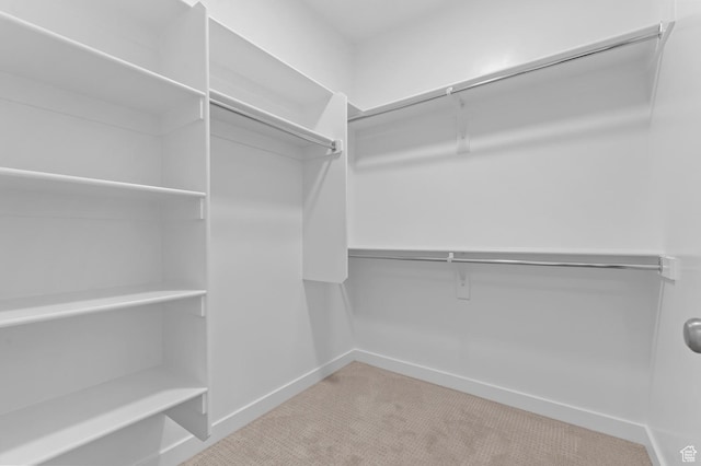 spacious closet with carpet