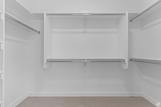 spacious closet featuring carpet