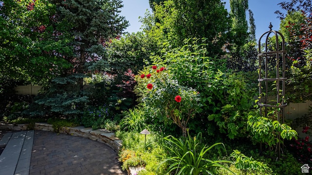 11606 S Radience Ln W, South Jordan, UT 84009 - view of yard