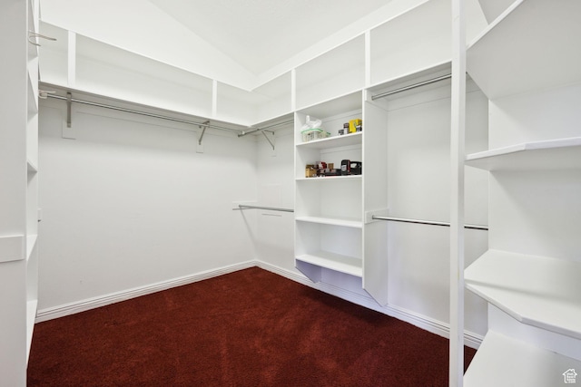 walk in closet featuring lofted ceiling and dark colored carpet