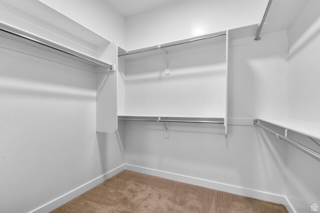 walk in closet featuring carpet