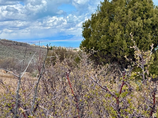 3077 S Sweetwater Pkwy Unit 4, Garden City, UT 84028