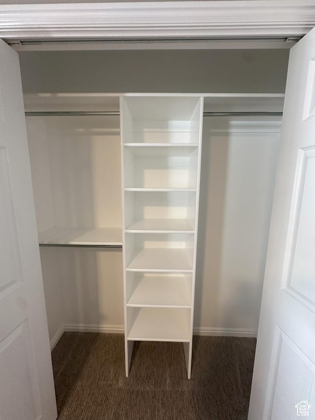 498 N 80 W, Lindon, UT 84042 - view of closet