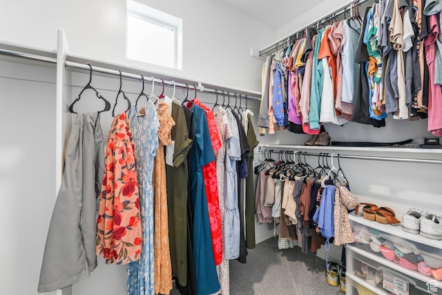 134 E Stroll Ave Unit 816, Saratoga Springs, UT 84045 - walk in closet with carpet