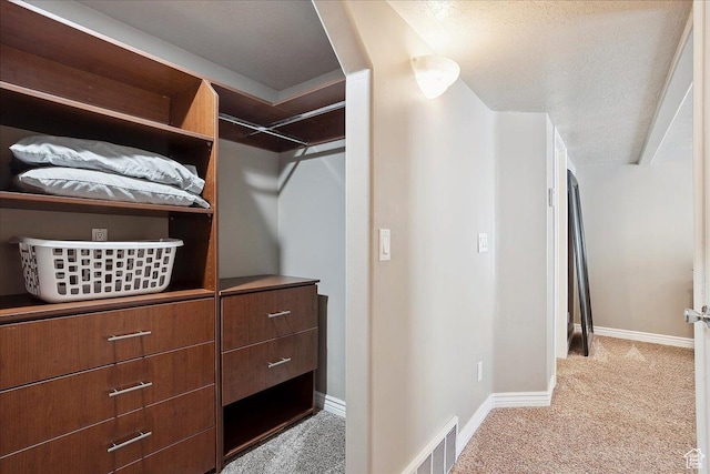 3511 N Willow Creek Ln E Unit 10, Eden, UT 84310 - walk in closet featuring light colored carpet and visible vents