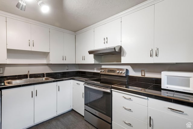 639 N University Ave Unit 2, Provo, UT 84601 - kitchen with dark countertops, a sink, white microwave, stainless steel electric stove, and under cabinet range hood
