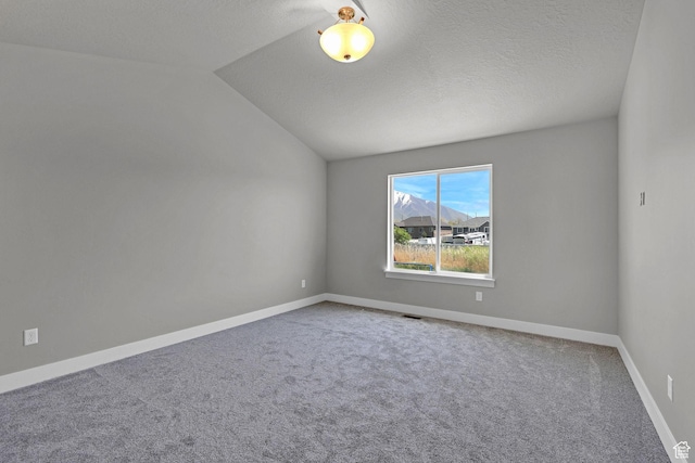1350 S 849 W Unit 17D, Springville, UT 84663 - empty room with carpet, lofted ceiling, baseboards, and a textured ceiling
