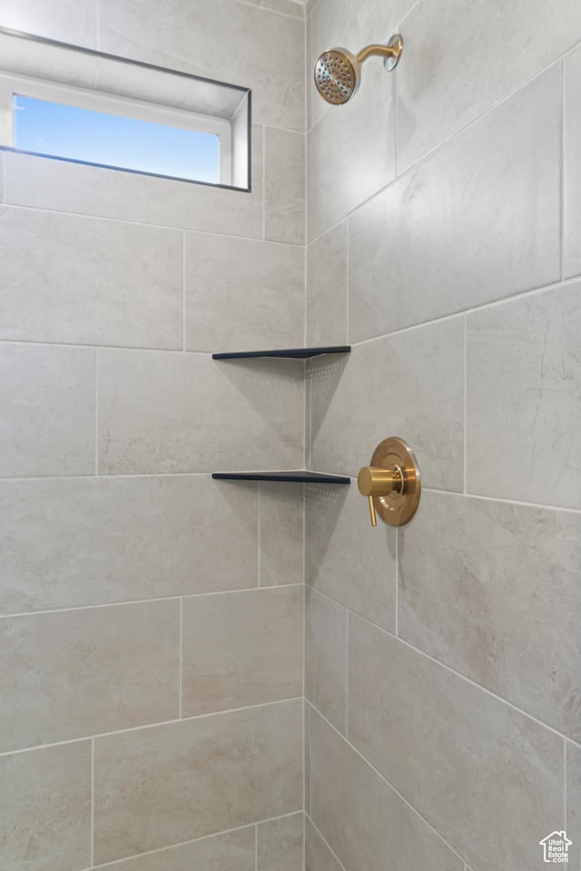 688 N 600 W Unit 104, Tremonton, UT 84337 - bathroom view of a tile shower