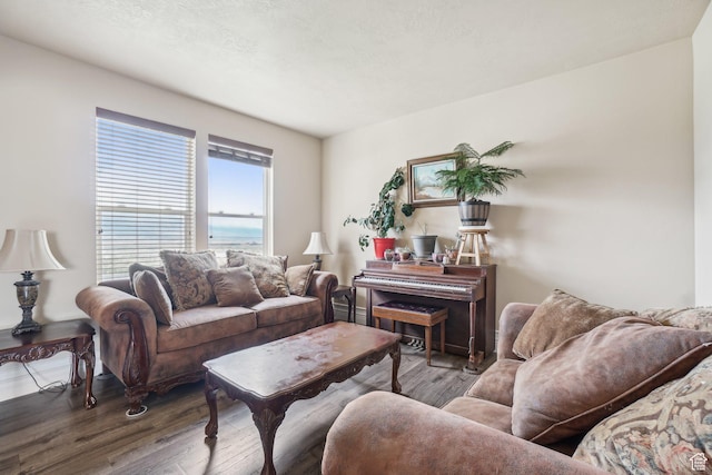 3214 W Ridgeline Rd, Stockton, UT 84071 - living area featuring wood finished floors