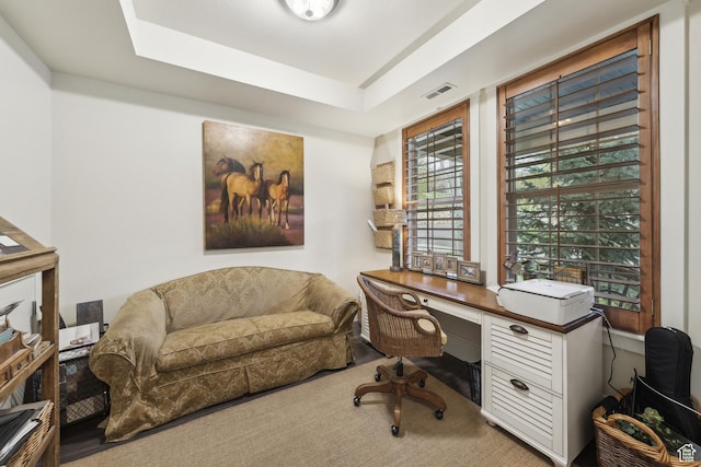 480 E Mission Dr, Midway, UT 84049 - office space with a tray ceiling, carpet flooring, and visible vents