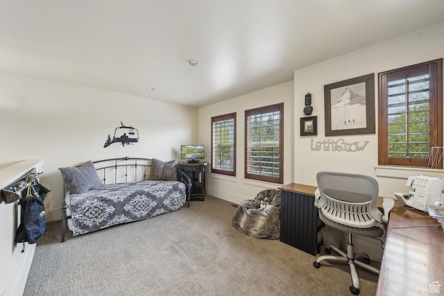 480 E Mission Dr, Midway, UT 84049 - bedroom featuring carpet flooring
