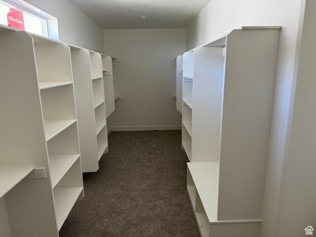 spacious closet with dark carpet