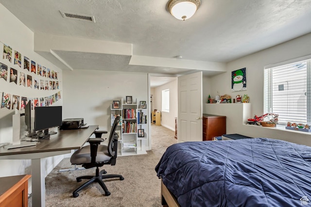 126 W Casi Way, Saratoga Springs, UT 84045 - bedroom featuring carpet, multiple windows, a desk, and a textured ceiling