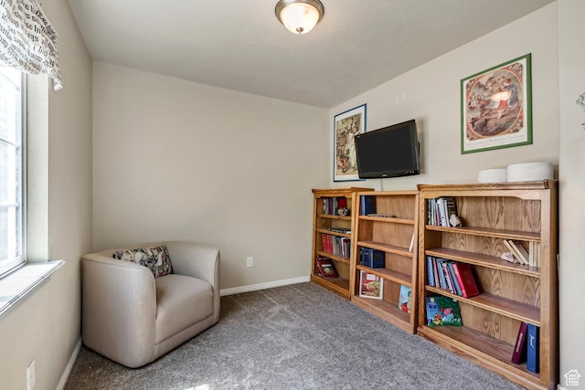 126 W Casi Way, Saratoga Springs, UT 84045 - sitting room with carpet and baseboards