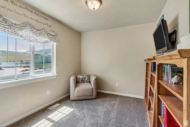 126 W Casi Way, Saratoga Springs, UT 84045 - sitting room featuring carpet floors and baseboards