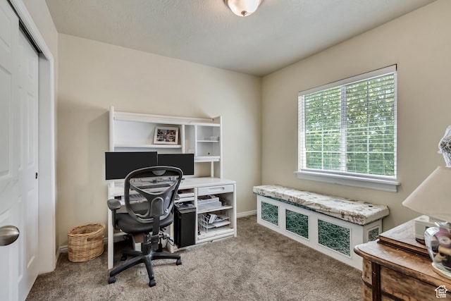 126 W Casi Way, Saratoga Springs, UT 84045 - office area with carpet flooring