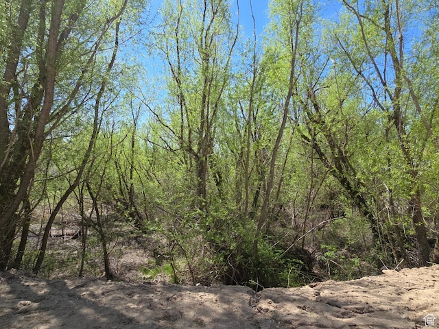 1480 E Belle Ct, Fruit Heights, UT 84037 - view of nature with a forest view