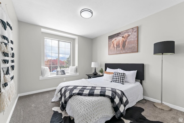 3559 W Lexington View Dr, West Jordan, UT 84088 - bedroom with baseboards and carpet flooring