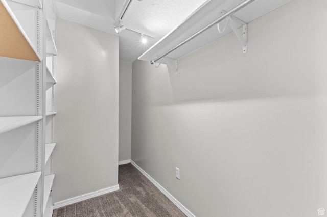 3559 W Lexington View Dr, West Jordan, UT 84088 - walk in closet with carpet floors