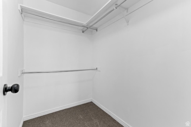 3559 W Lexington View Dr, West Jordan, UT 84088 - walk in closet featuring dark carpet
