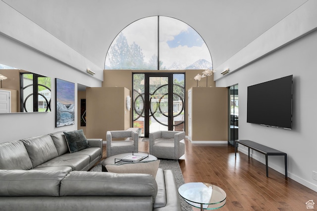 living area with baseboards, a towering ceiling, wood finished floors, and a wealth of natural light